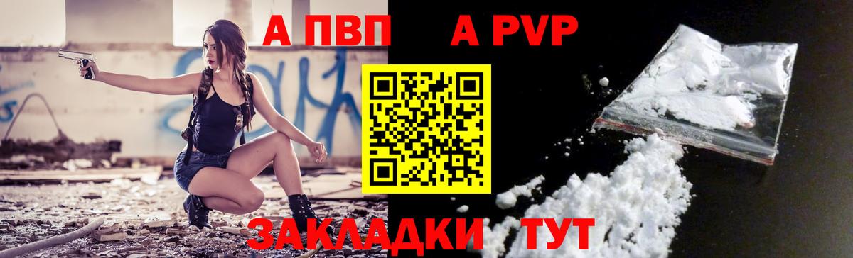 Альфа ПВП СК КРИС Благодарный