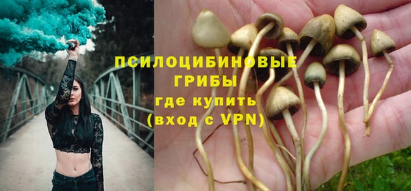 бутират Пролетарск