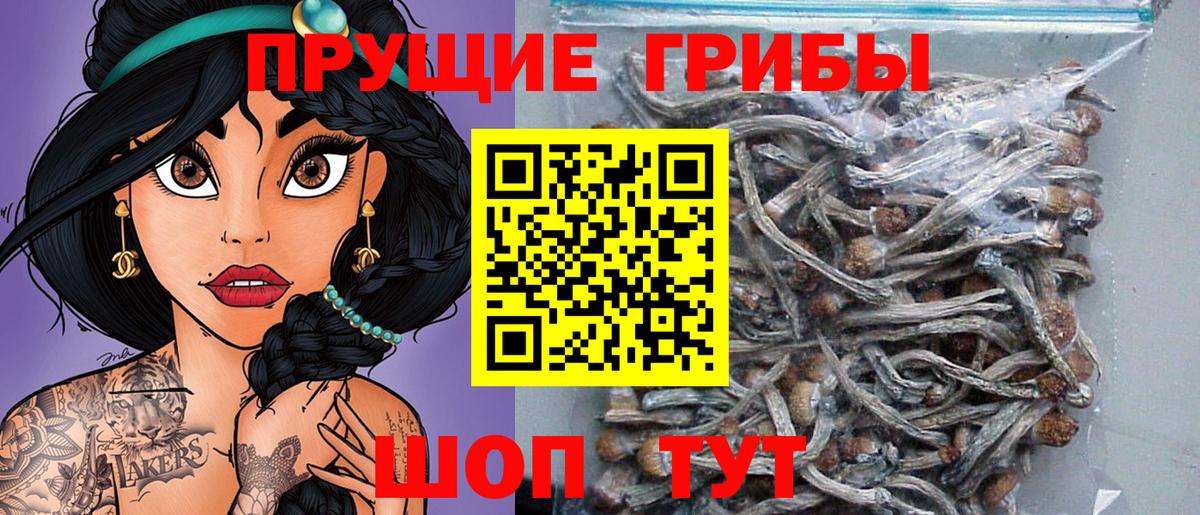 Псилоцибиновые грибы мицелий Благодарный