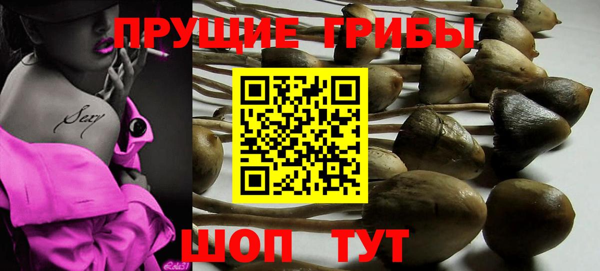Благодарный  Галлюциногенные грибы прущие грибы  Вход с VPN 